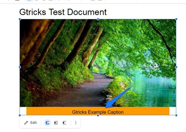 Caption added to Google Docs image